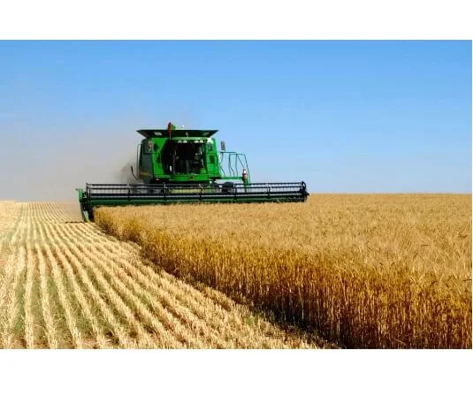 Автоматизированная система приема зерна «1С Зерноток»- фото № 1