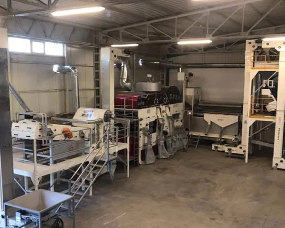 Очистка зерна, перевалка, временное хранение, фасовка- фото № 1