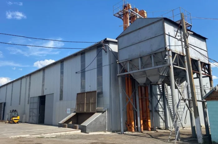 Очистка, калібрування, сортування, фотосепарація зерна будь-яких с/г культур- фото № 1