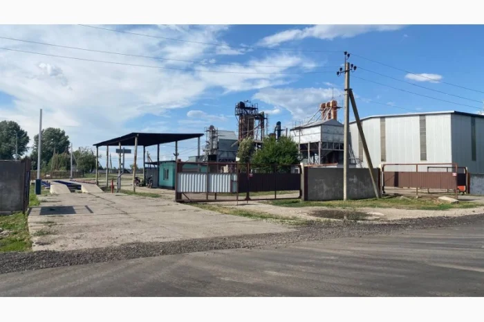 Очистка, калібрування, сортування, фотосепарація зерна будь-яких с/г культур- фото № 7