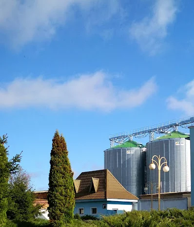 Здійснюємо заготівлю зернових та олійних культур для зернотрейдерів та послуги елеватора- фото № 1