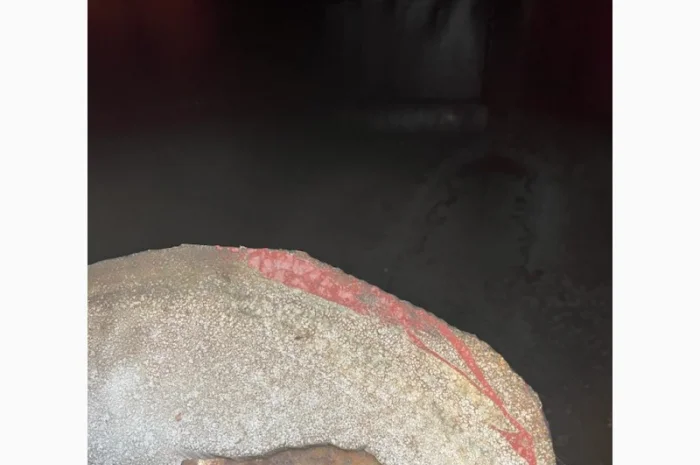 20-кубовые отстойники для вина – бочка, цистерна, резервуар- фото № 8