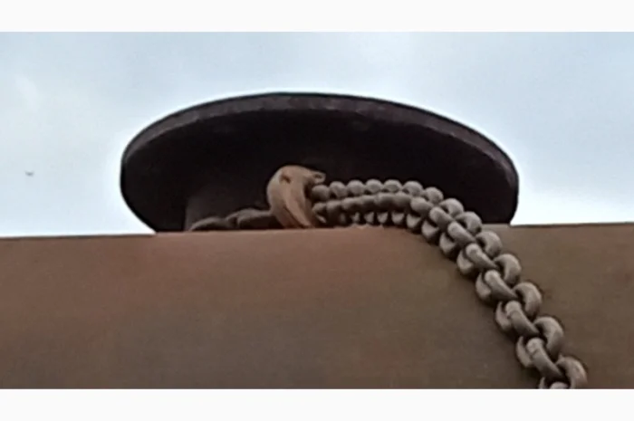 Вакуумная сушильная камера на 20 кубов- фото № 12