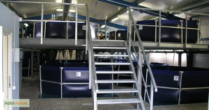 Бассейн для выращивания рыбы 10м3, УЗВ- фото № 2