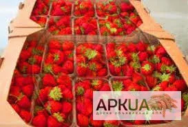 Картонный ящик, лоток под ягоду, персик, черешню, виноград- фото № 1