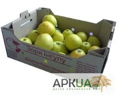 Картонный ящик, лоток под яблоки от 10-20кг- фото № 1