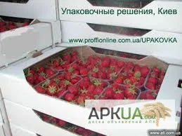 Лоток картонный для персика, черешни от 5 кг- фото № 1