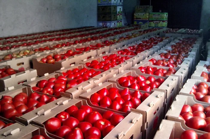 Продается ящик для помидоров из гофрокартона- фото № 1