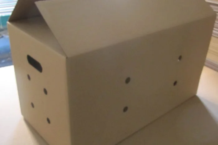 Картонные коробки под яйца различных размеров- фото № 1