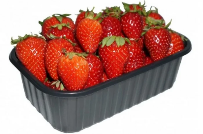 Пинетки, лотки и стаканчики для упаковки ягод и овощей- фото № 1