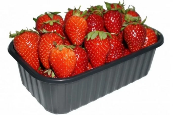 Пинетки 500 грамм - лоток для хранения ягод в евро ящиках- фото № 1