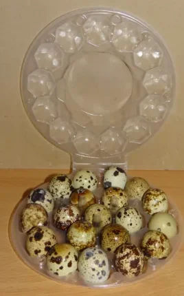 Лоток для упаковки яєць: на курячі та перепелині яйця- фото № 3