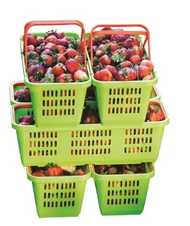 Лубянки пластиковые на 2 ручки для сбора ягод малины- фото № 1