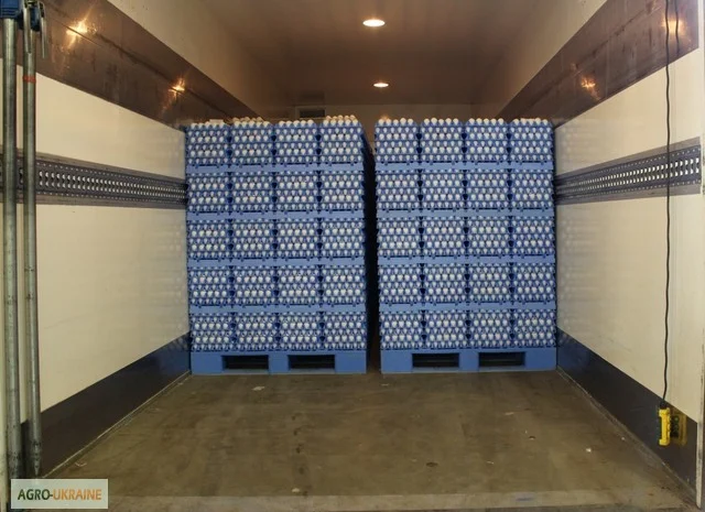 Тара и упаковка для яиц- фото № 1