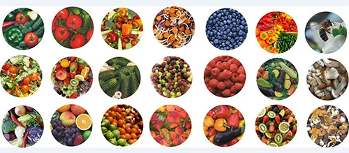 Крышка винтовая твист-офф ОАО Магол производства Беларусь 38 -100 мм- фото № 3