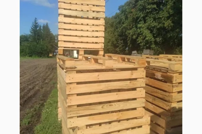 Ящики дерев'яні великі- фото № 4