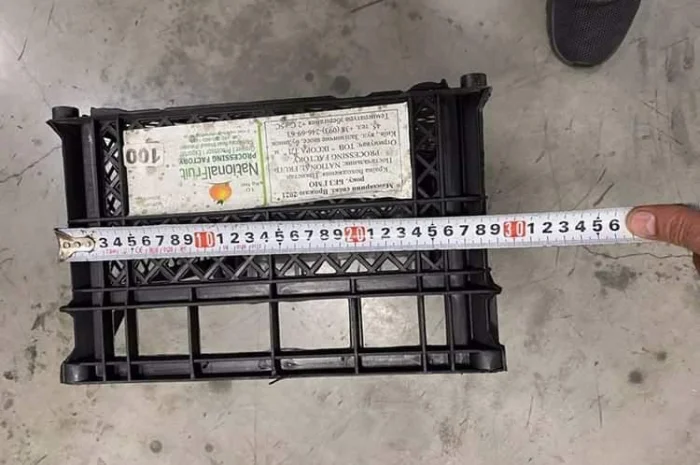 Ящики пластикові- фото № 1