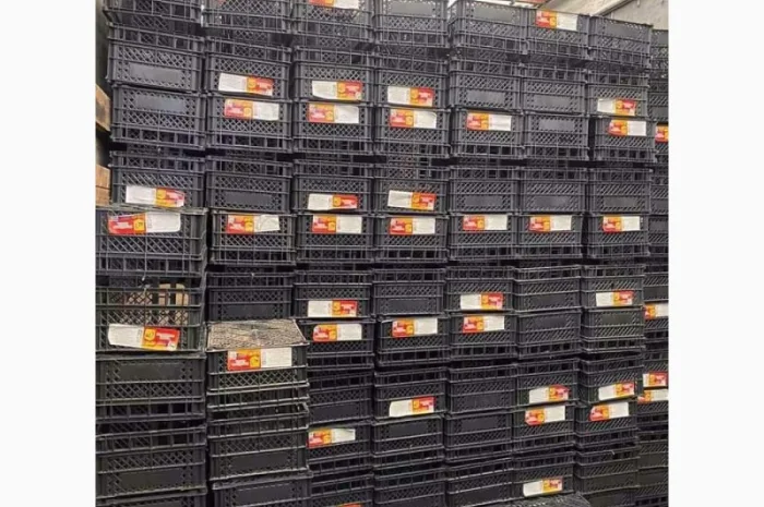 Ящики пластикові- фото № 4