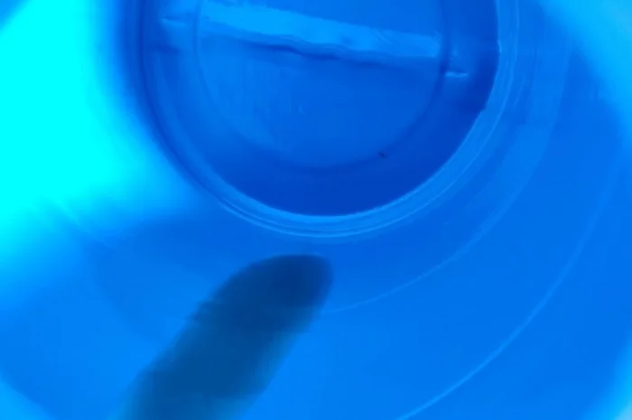 Бочки пластикові очіщені на 2 пробки- фото № 2