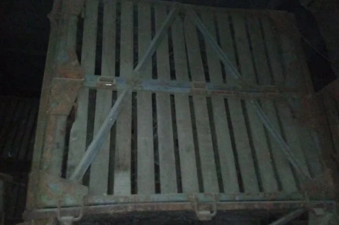 Контейнери овощные- фото № 5