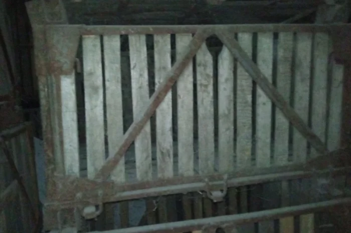 Контейнери овощные- фото № 9