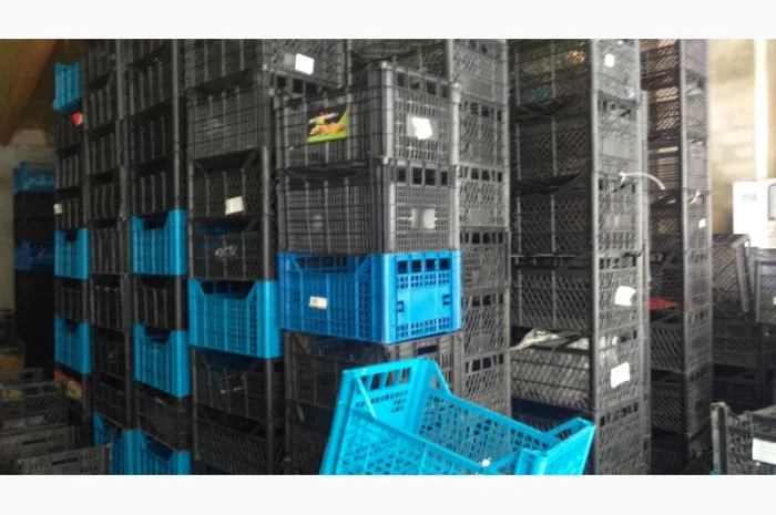 Продам пластиковые ящики- фото № 1