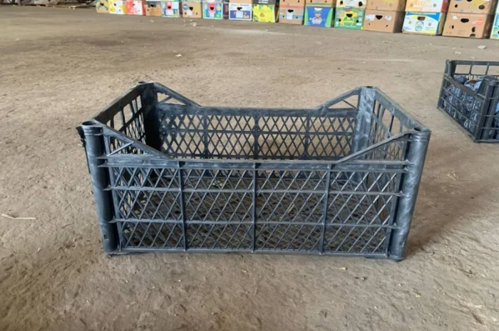 Ящик пластмассовый 50*30*22 см- фото № 2