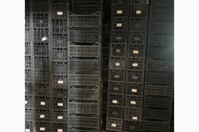 Ящик пластмассовый 50*30*22 см- фото № 3