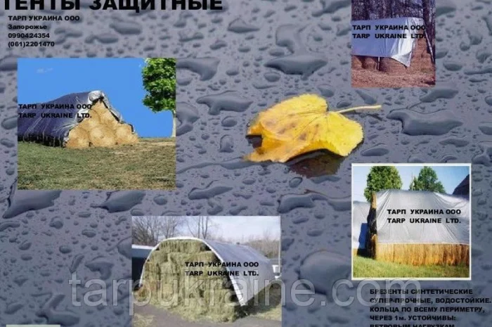 Тенты тарпаулин 120 для дачи и туризма- фото № 1