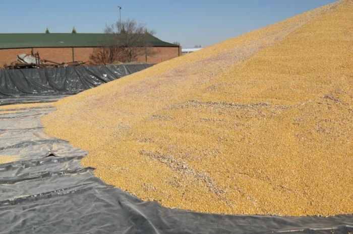 Тенты для хранения зерна 4 х 6 м- фото № 1