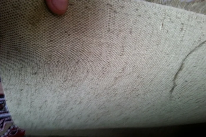 Брезент, пошив из брезента- фото № 19