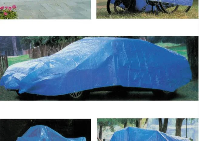 Тенты универсальные для дома,  дачи,  навесы для авто. Цвет синий- фото № 3