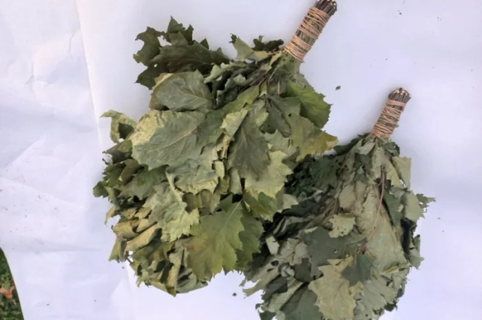 Віники для бані Дуб, береза Липа Евкаліпт- фото № 2