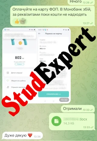 Купить выпускную квалификационную работу в Украине- фото № 13