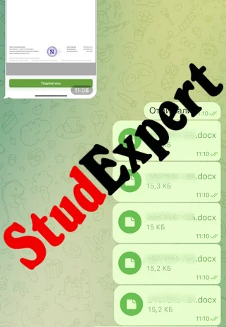 Купить мотивационное письмо в Украине- фото № 5