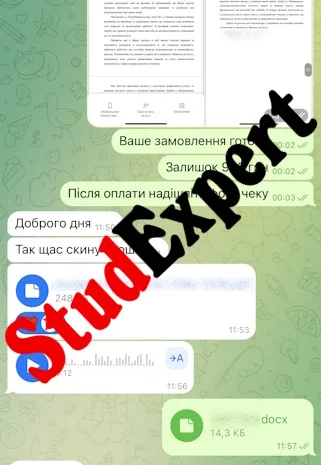 Купить эссе в Львове с гарантией высокого балла- фото № 10