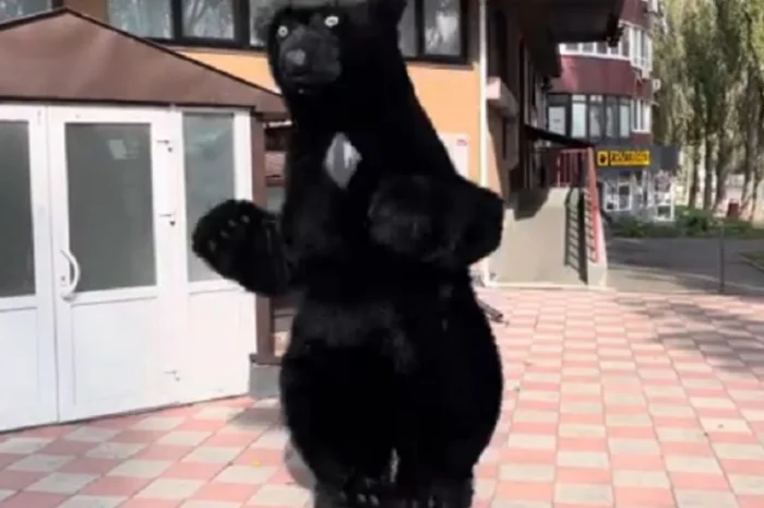 Ростовий костюм Пес Патрон- фото № 3