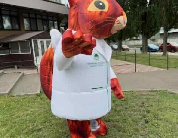 Белка костюм надувной- фото № 3