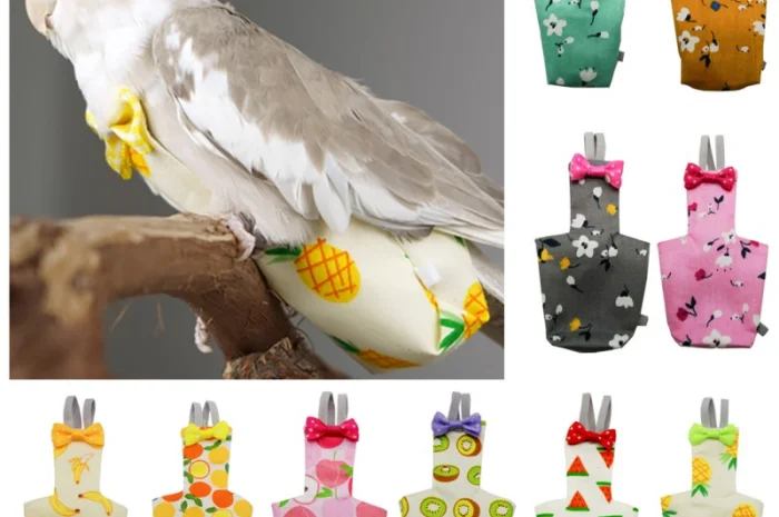 Памперс для попугаев – забота о вашем питомце- фото № 1