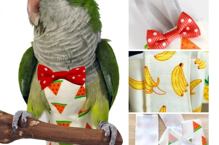 Памперс для попугаев – забота о вашем питомце- фото № 5