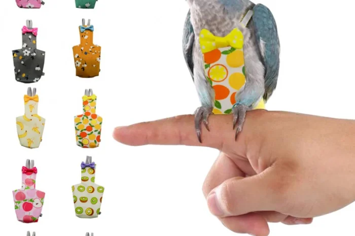 Памперс для попугаев – забота о вашем питомце- фото № 6