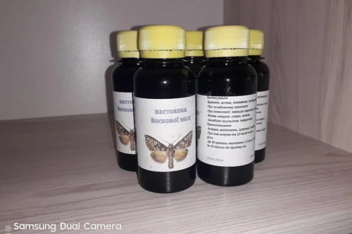 Настойка восковой моли для здоровья- фото № 1