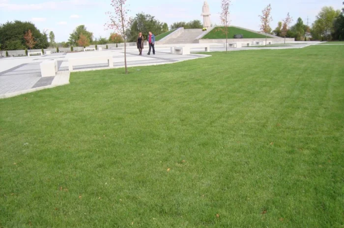 Озеленение территории под ключ в г. Винница- фото № 3