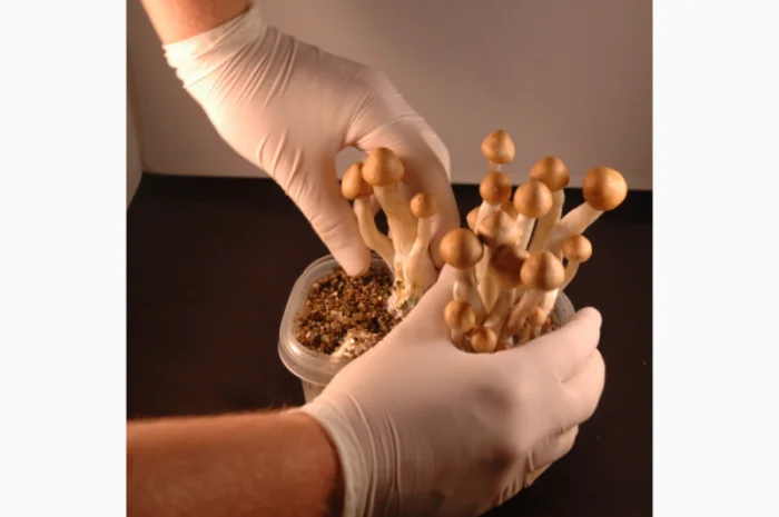 Медичні рукавички для безпечної роботи- фото № 2