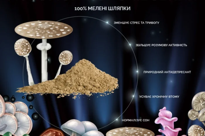 Мелені капелюшки Королівського Мухомора 25 грам- фото № 3