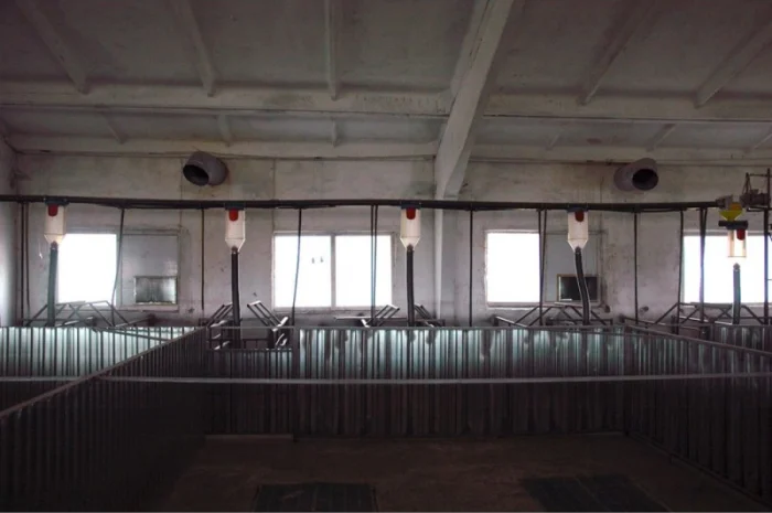 Оренда корівника та приміщення для відгодівлі телят- фото № 2