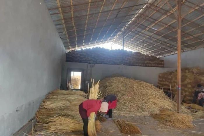 Веник сорго оптом за вигідною ціною- фото № 9