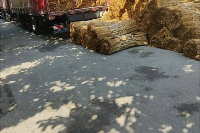 Веник сорго оптом за вигідною ціною- фото № 4