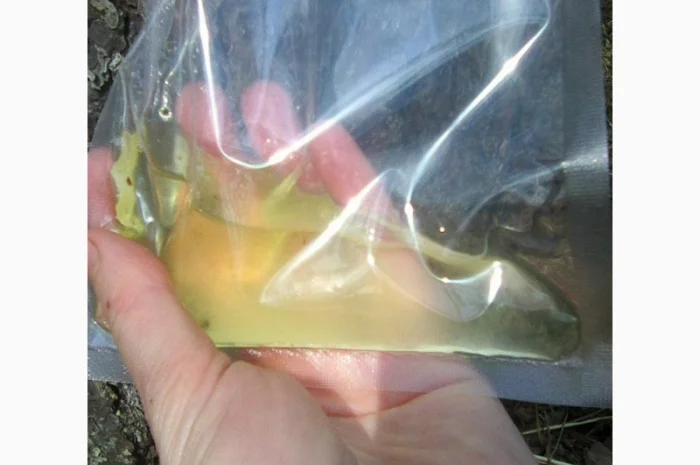 Живиця смола- фото № 4