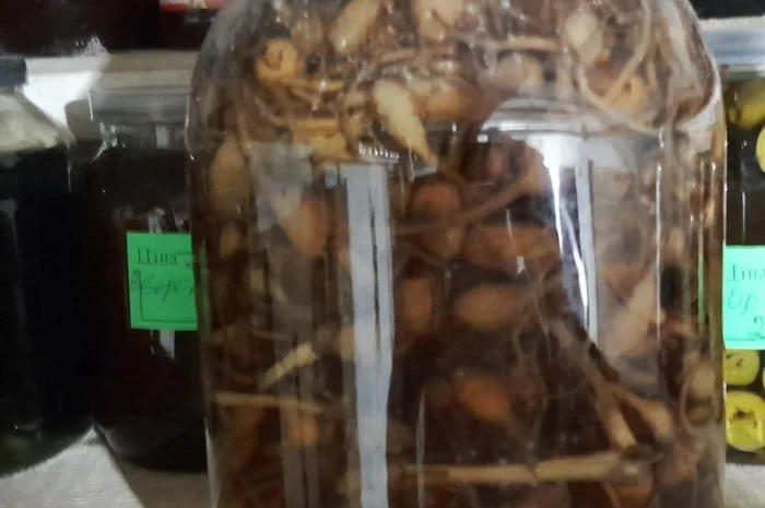 Настоянка любки двулистої- фото № 2